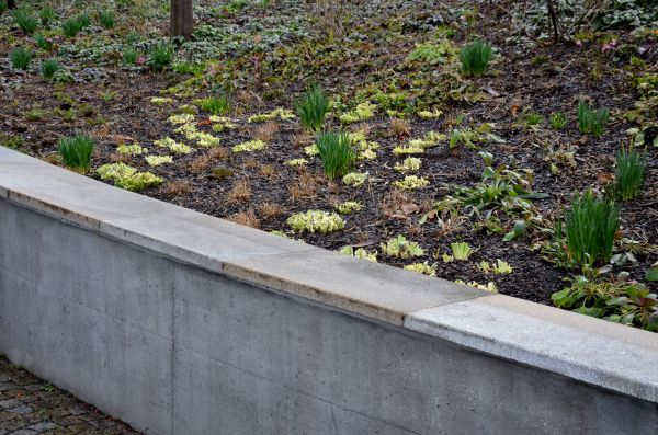 Concrete Wall Construction in Yuba City