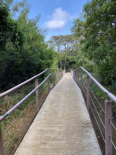 Footpath Construction in Yuba City