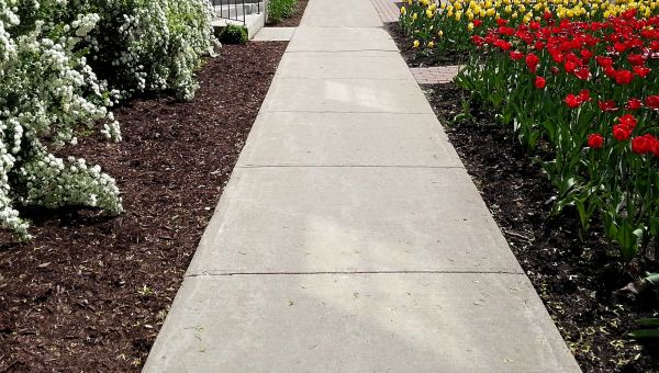 Cement Sidewalk Installation in Yuba City