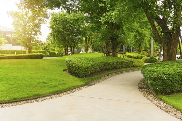 Walkway Concrete Installation in Yuba City