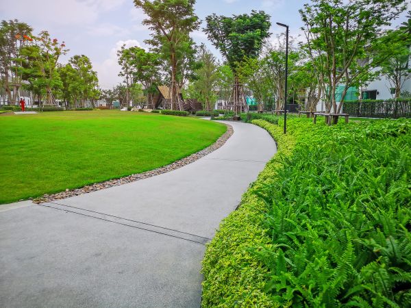 Cement Walkway Service in Yuba City