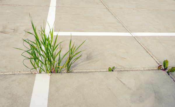 Concrete Parking Installation in Yuba City