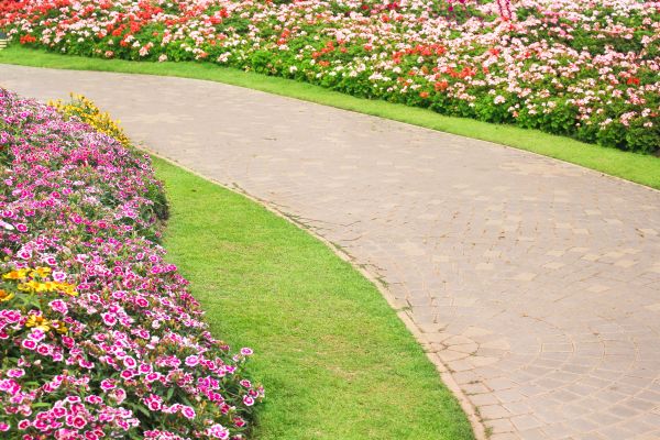 Concrete Walkway Service in Yuba City