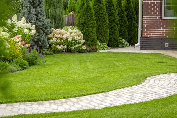 Landscape Walkway Installation in Yuba City